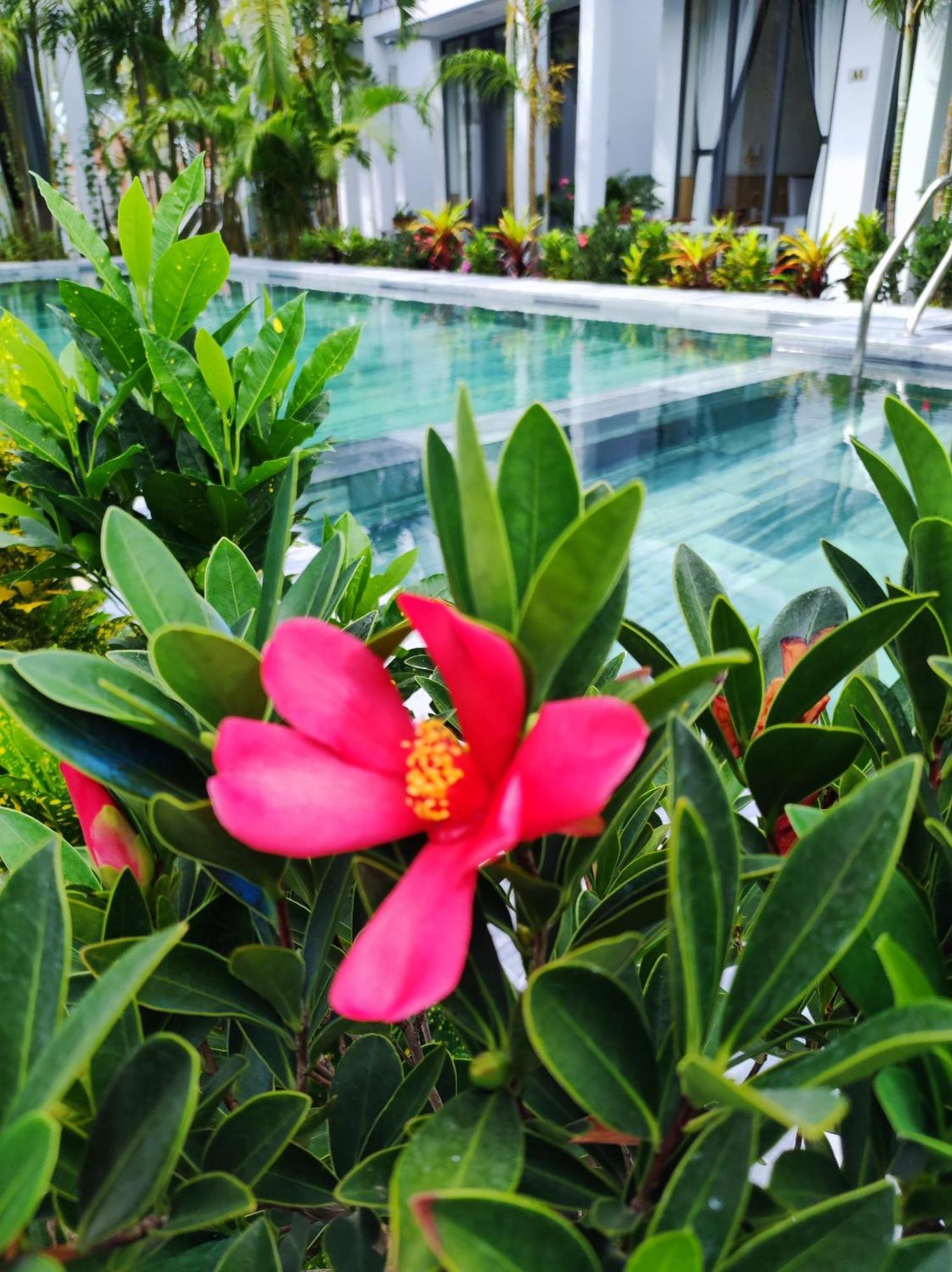 Ngoc Trai Xanh Bungalow Phu Quoc Buitenkant foto